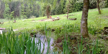 Pensionen - Rüstorf - Gästegarten - Pension s`Waldeck
